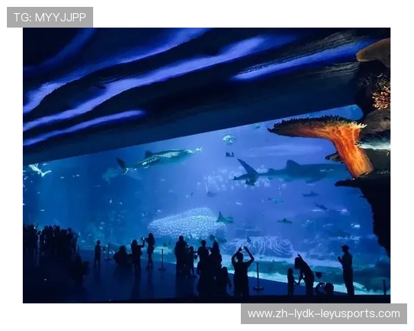 马赛俱乐部推出海洋清洁机器人 助力保护地球蓝色家园